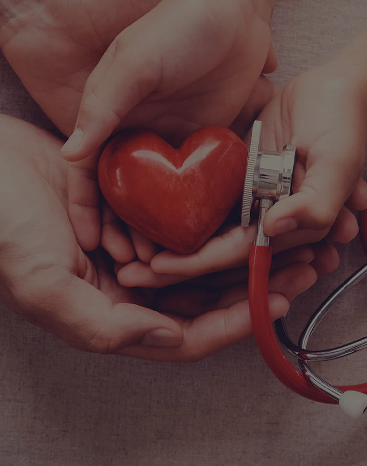 People holding a heart and stethoscope