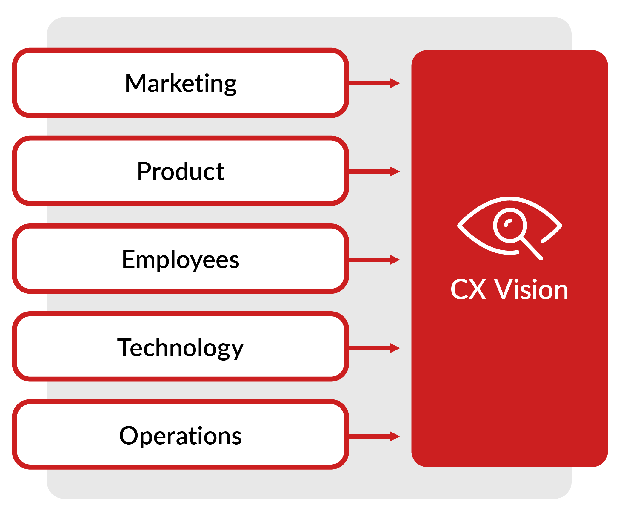 A digram explaining CX-driven vision.