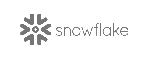 Snowflake monochrome logo