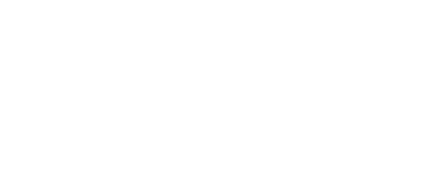 Essex logo