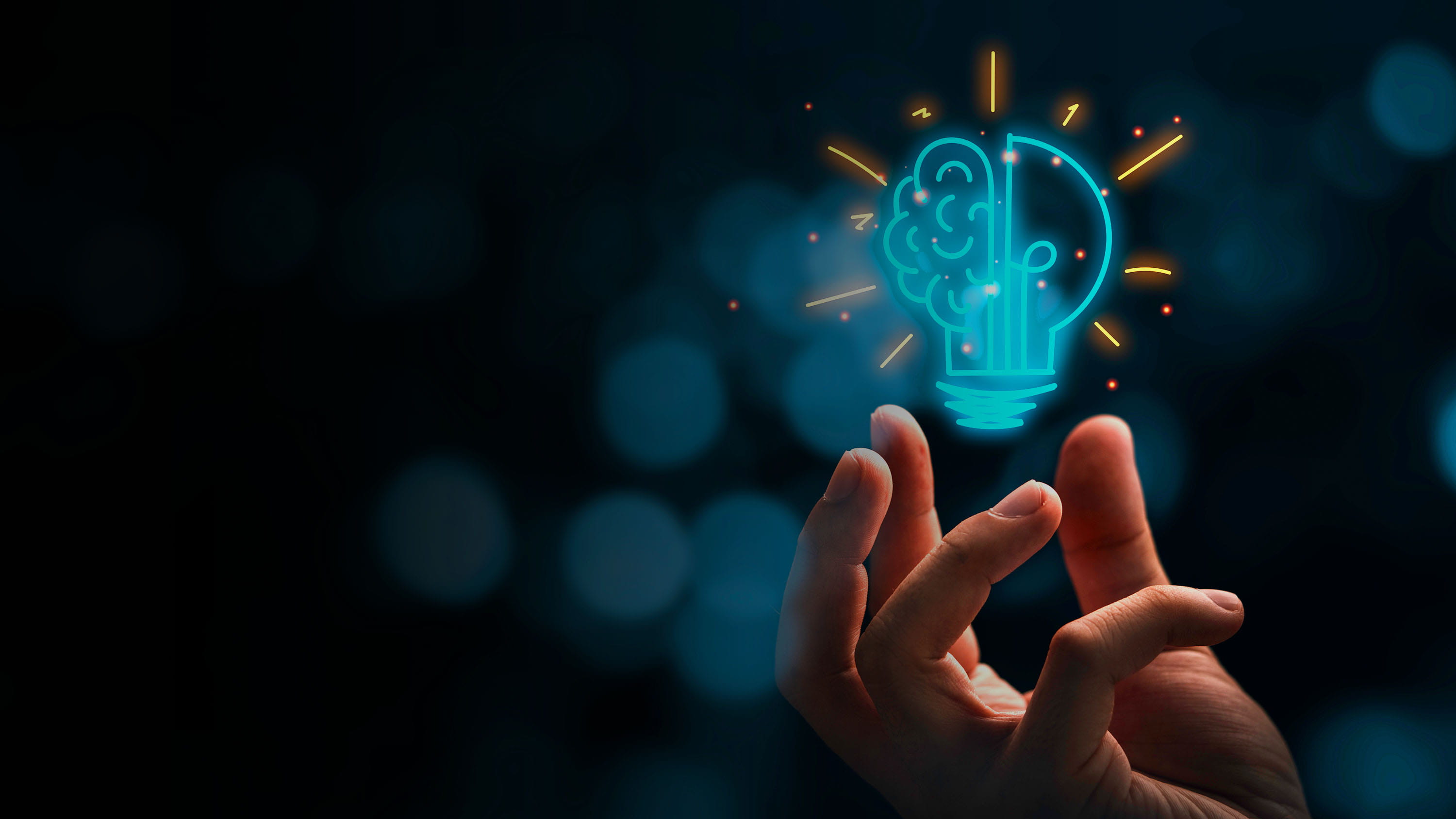 A person holding a lightbulb