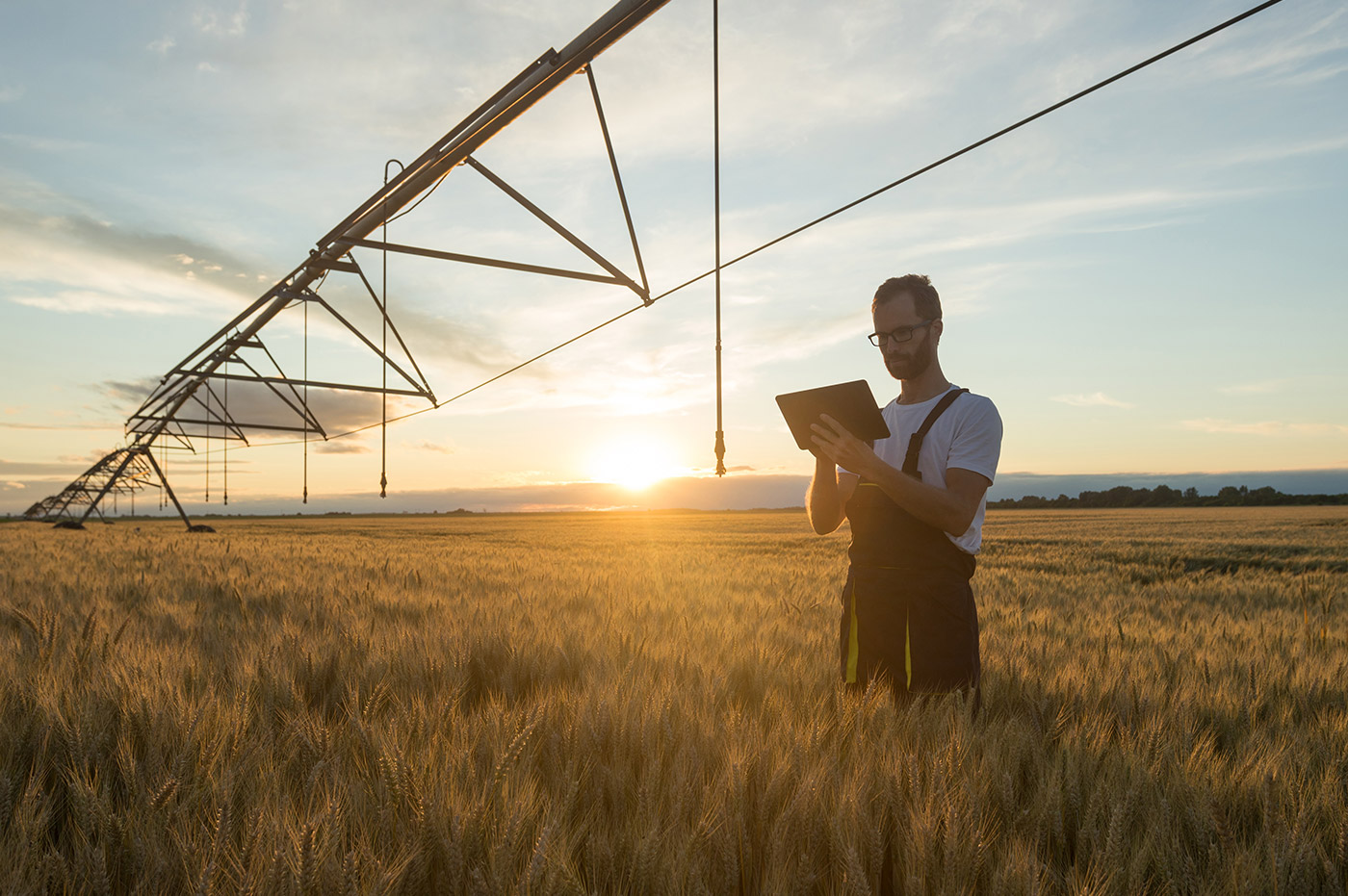 Male farmer working on an iPad in a field.
