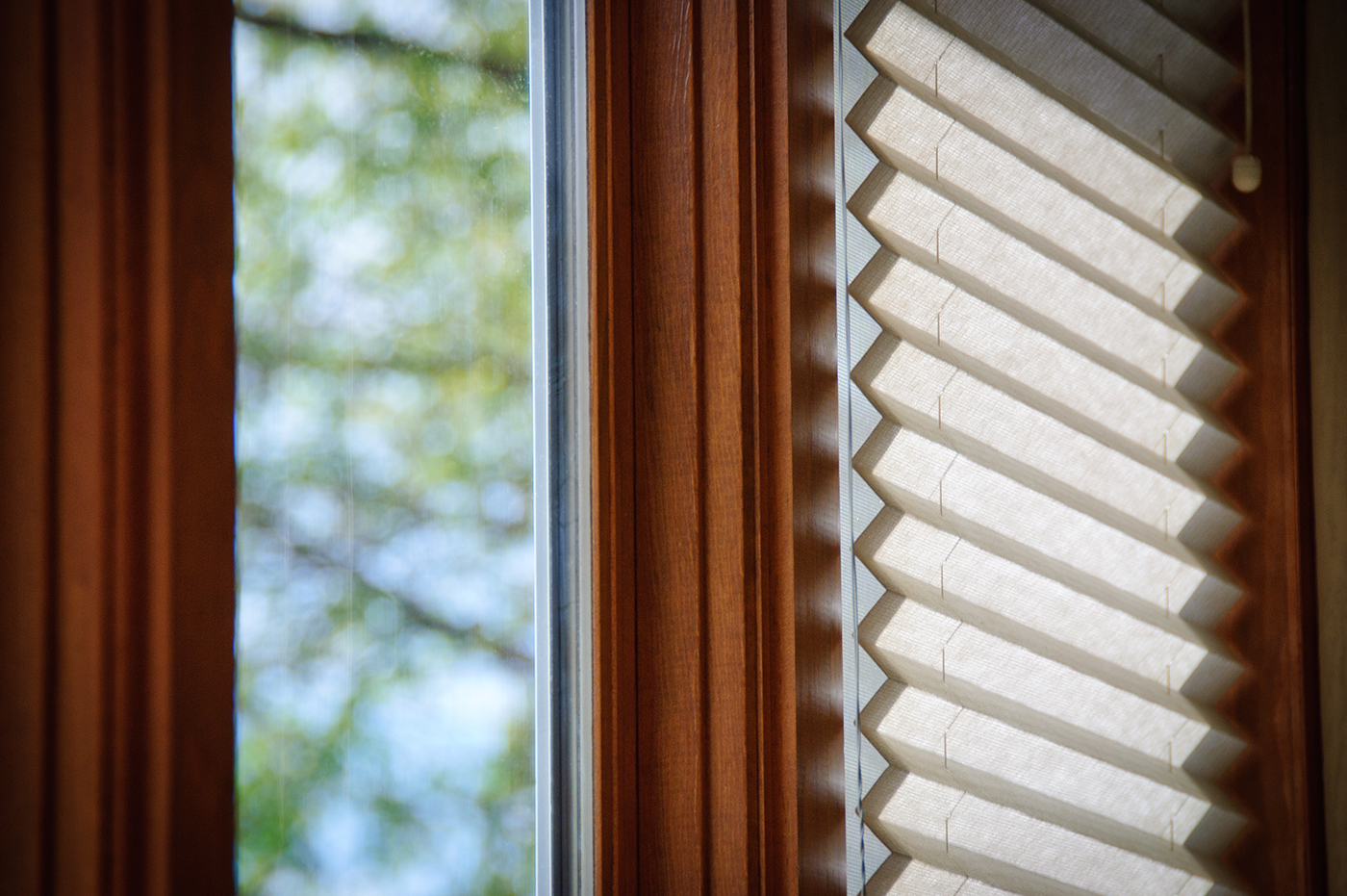 Some cream-colored window shades on a window.