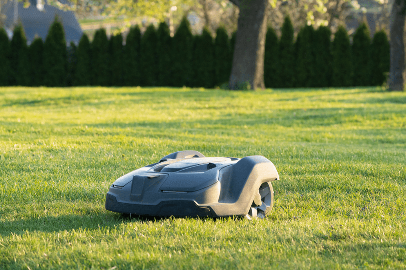 An electric lawnmower.