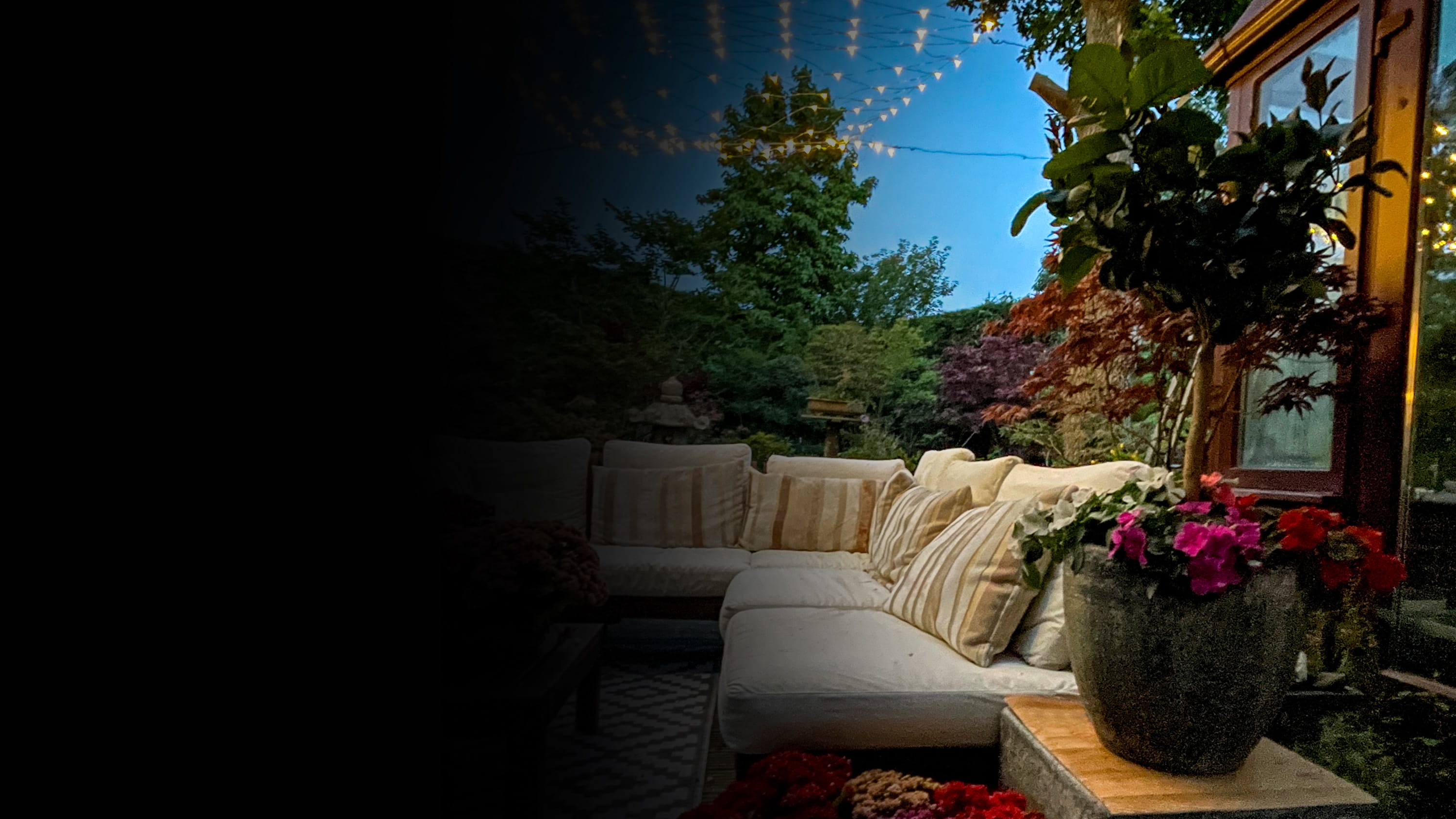 Backyard with Twinkle Lights