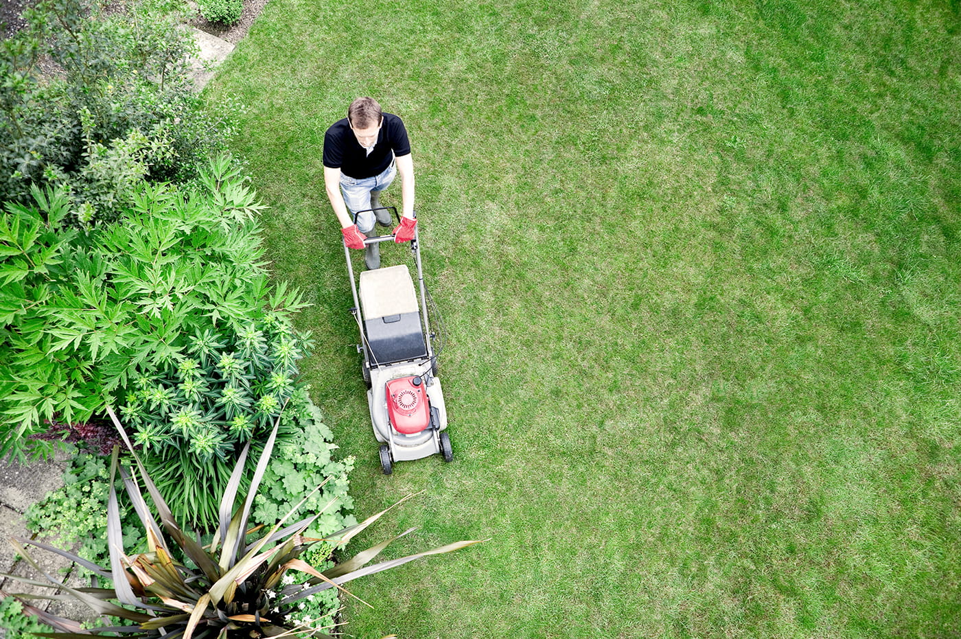 A person using a push lawn mower to mow their lawn.