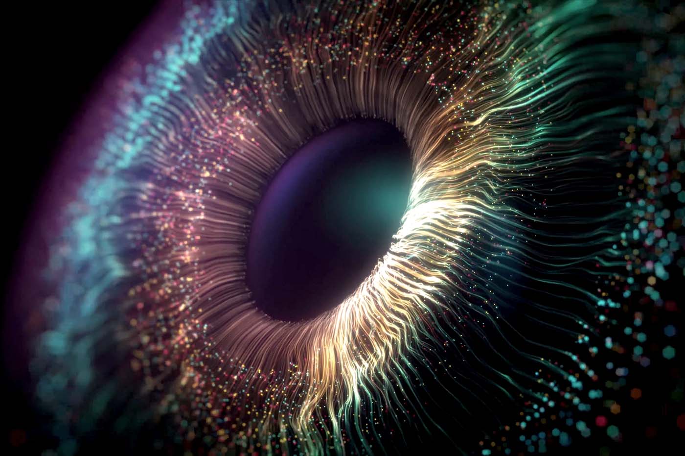 Closeup of an eye