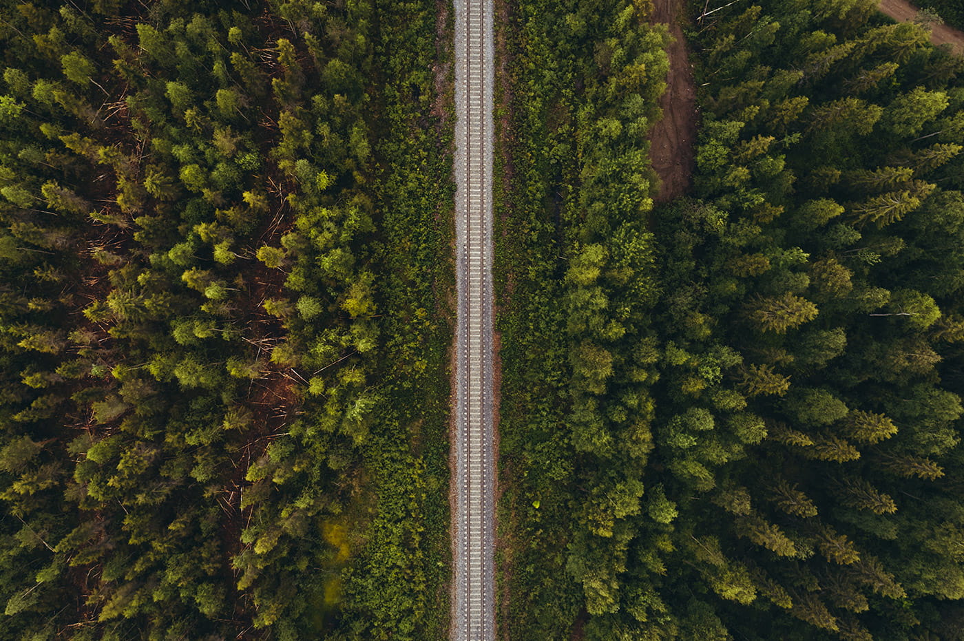 Aerial view of train tracks crossing through a heavily wooded area.