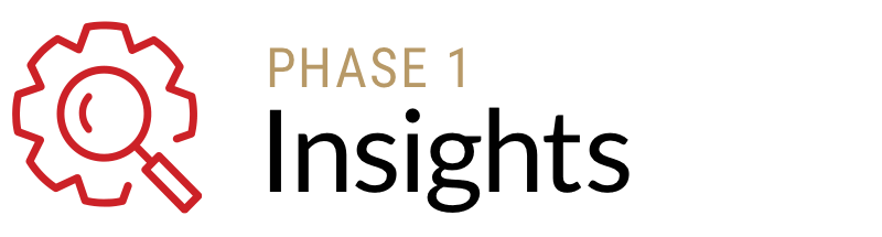 Phase 1 Insights with red magnifying glass and cog icon header image.