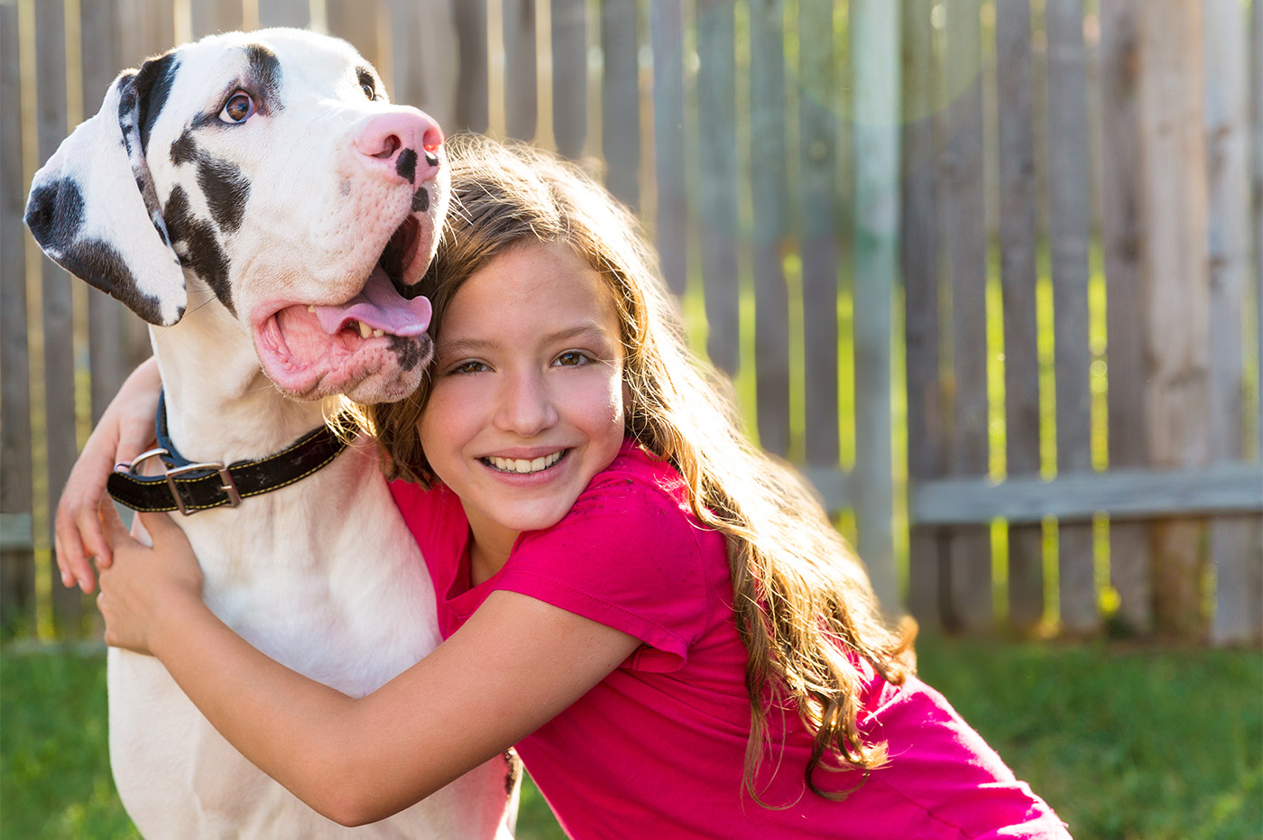 A little girl hugging a large dog.