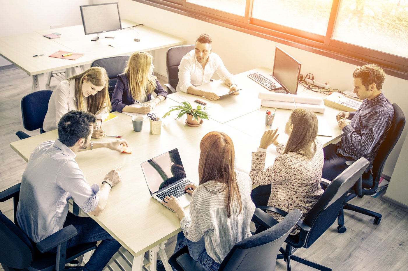 A large group of colleagues gathered around a conference table in a meeting.